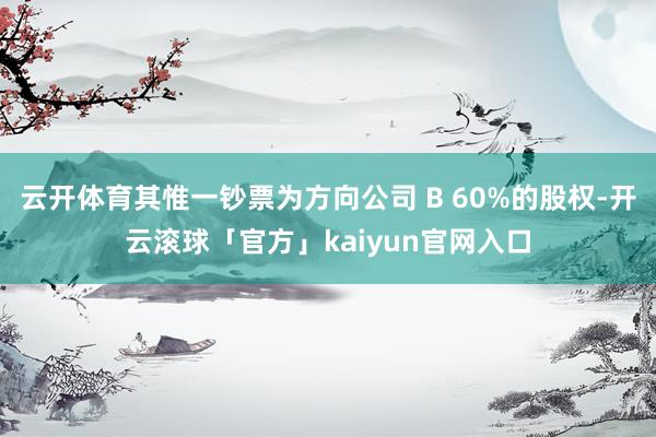 云开体育其惟一钞票为方向公司 B 60%的股权-开云滚球「官方」kaiyun官网入口